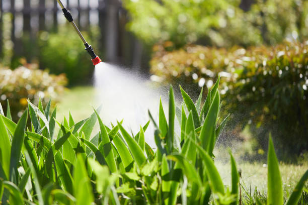 Void Injection for Cockroach Colonies in Yoncalla