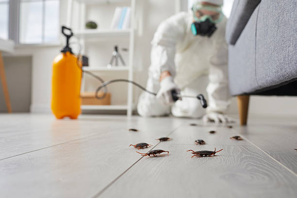Commercial Kitchen Cockroach Control in Yoncalla